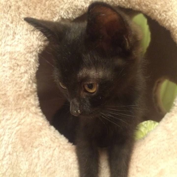 9a09f132 ac1b 4c7c 9d53 3b4fcd16ddde