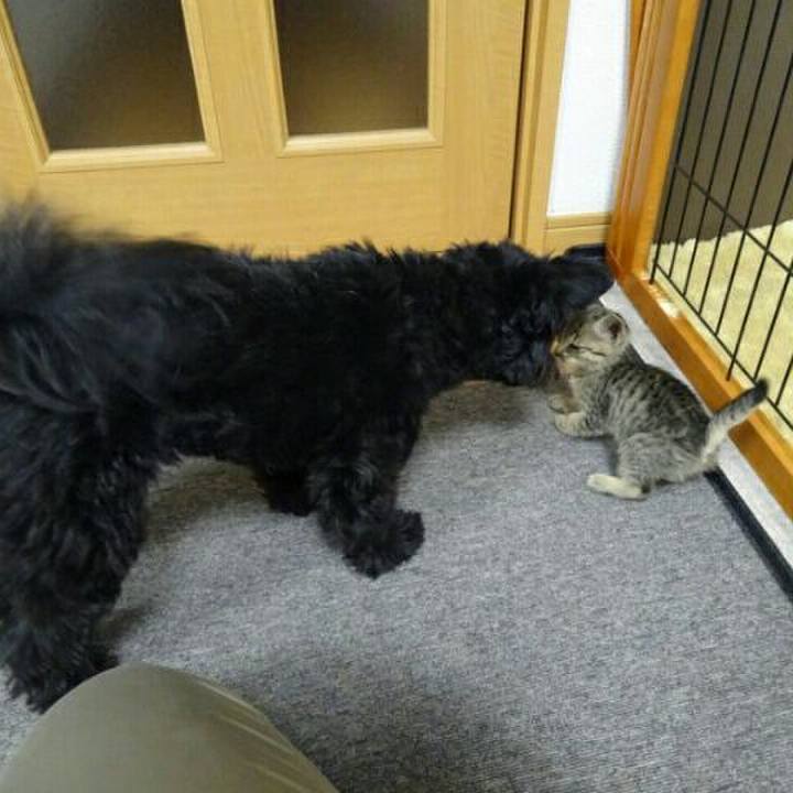 9a0a974a b0bd 4a8f a17e ed3db51f209c