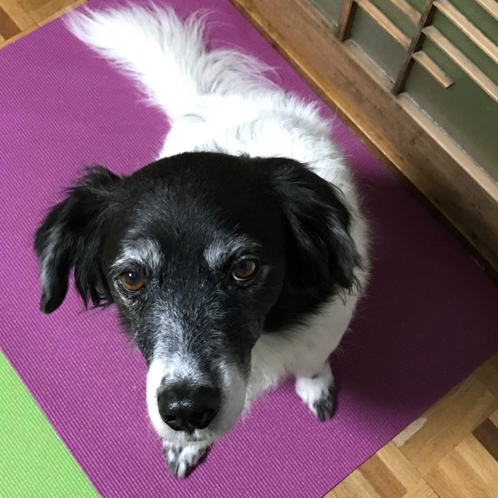 9a0ad0fe 28ca 42ef 8578 d8d40327859a