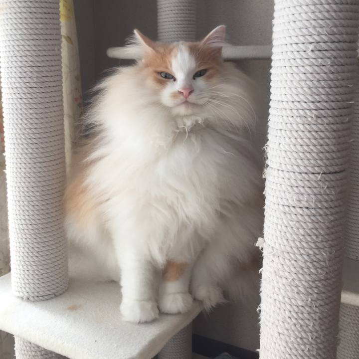 9a0b1677 8e7b 4f33 a4c7 e5f6853c4abf