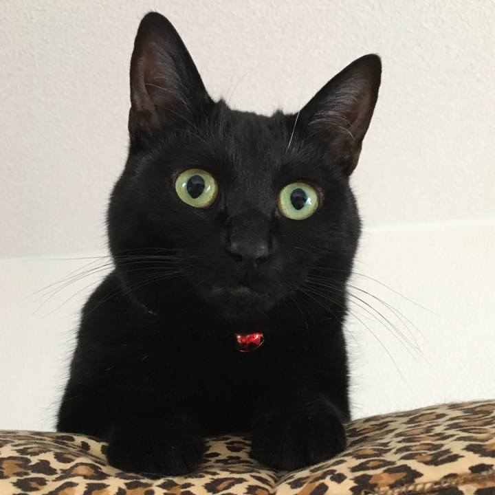 9a0b5c09 0967 4e15 96da c2184f5af1de