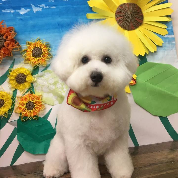 9a0b5ff8 0e82 4f0f 882b 69c941cb6dec