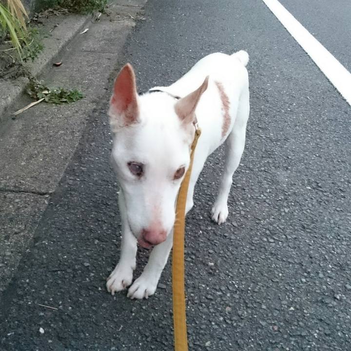 9a0bda0e 270a 46ed 90ae 5c558506b1b1