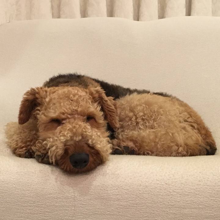 9a0bee17 b084 445a 81e0 4ba8fe273691