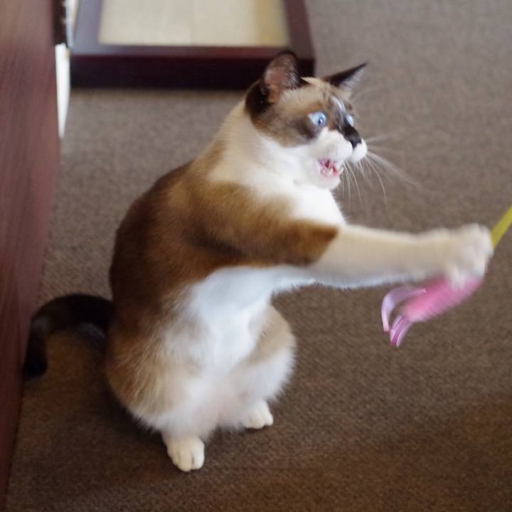 9a0c1391 00a4 4b99 b0de 10d30a6d2eda