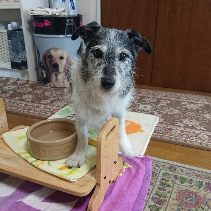 9a0c57c2 1ca0 49b4 bf97 77b0a5f931bb