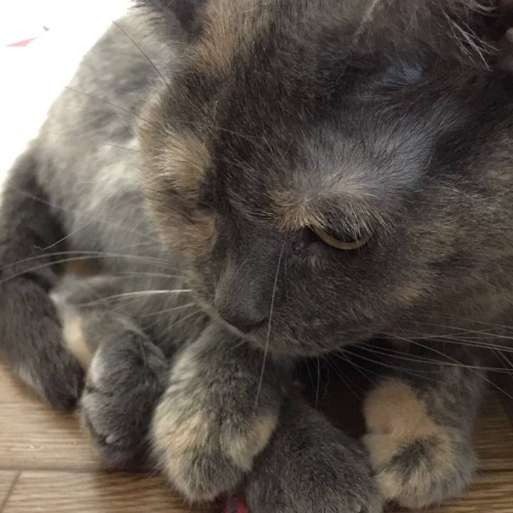 9a0cc64f 47f2 485e b1c0 b083f36af1f8