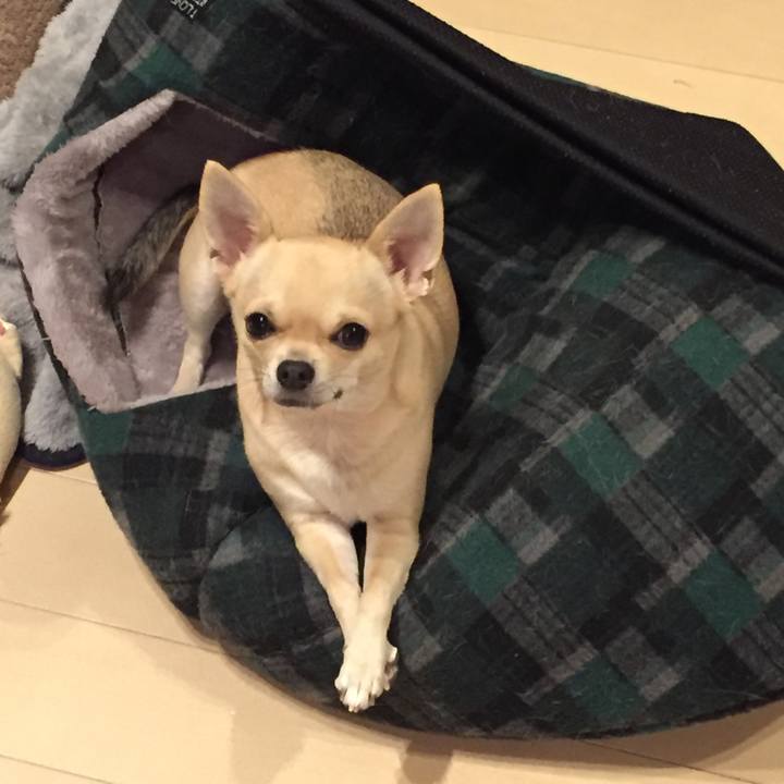 9a0d6083 121c 47fb 8129 1c8863b2d04d