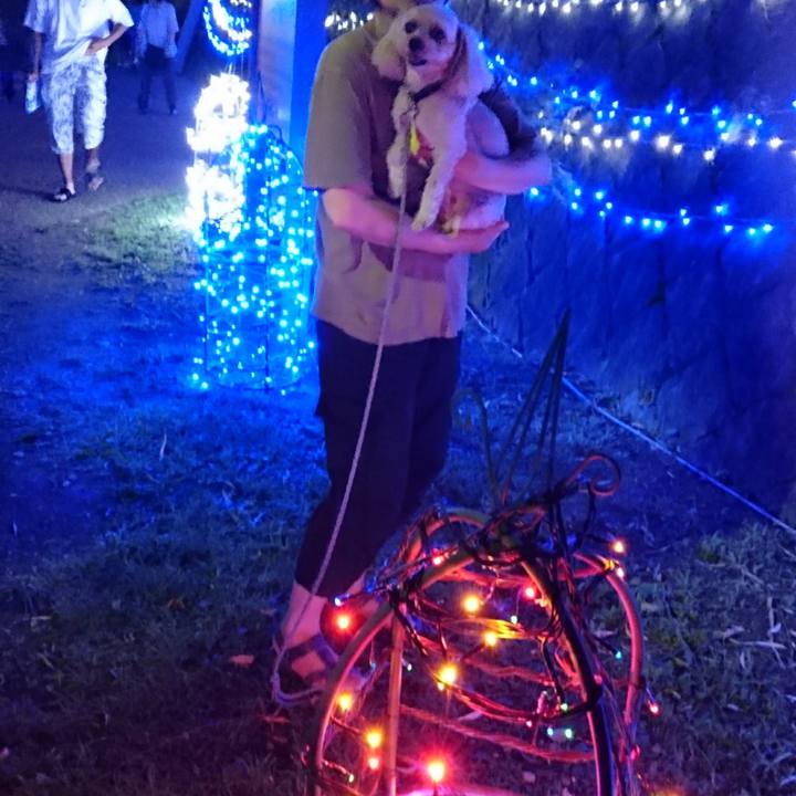 9a0dcdc5 16da 4657 8809 058c8f91ba98