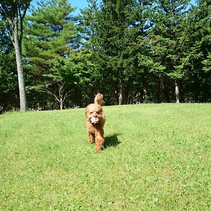 9a0e1e83 9c79 4c9b 8d20 28aa0d385075