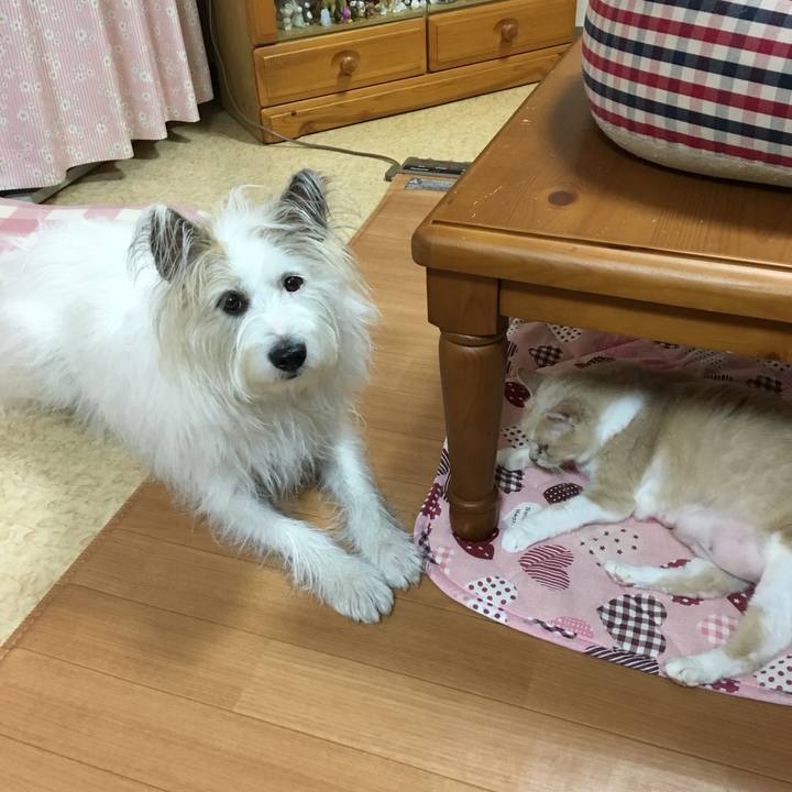 9a0e7035 d551 4d40 874f 8e80cba82fda