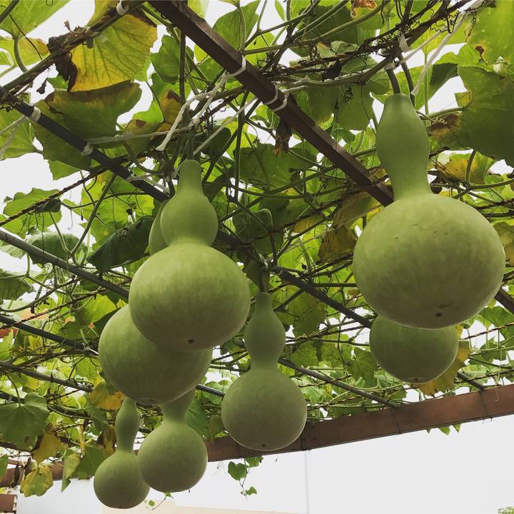 9a0e951c 49af 4552 9433 8bca2a7fb1b7