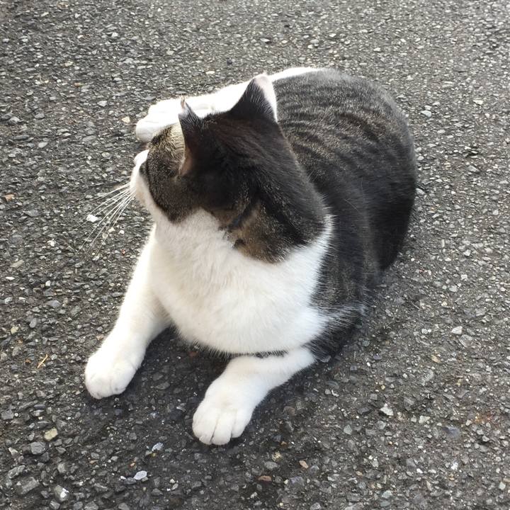 9a0ed392 f530 4f25 9d2a 4d16e3dad7ce