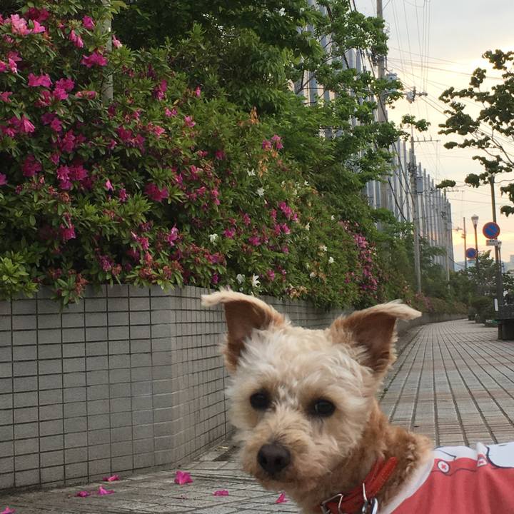 9a0f0b4a 6635 4051 83cf 4c1438696aa4