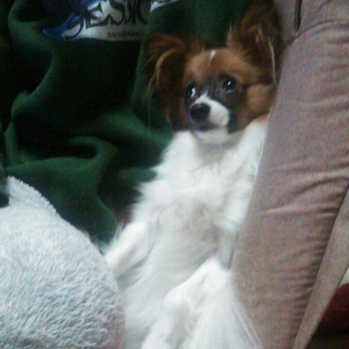 9a10adc0 389e 434a b5c0 985cfc7bbe69