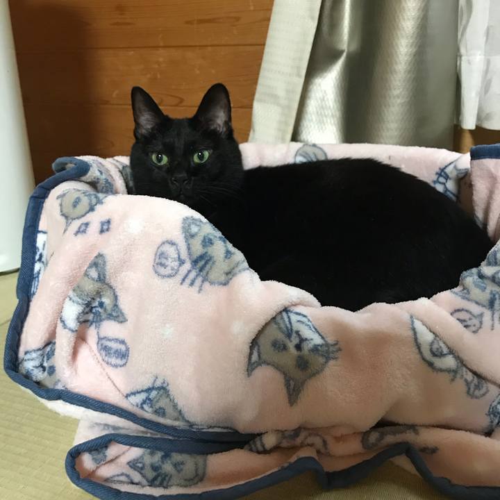 9a10d9fe 329b 4283 b208 2a4d38258a19