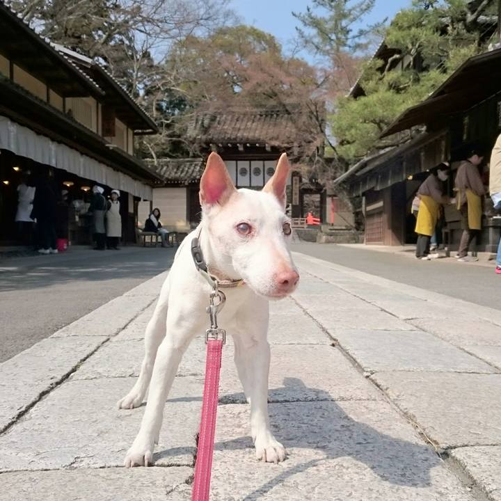 9a10ec1f 9b09 451a b0b0 1f3d524248e6