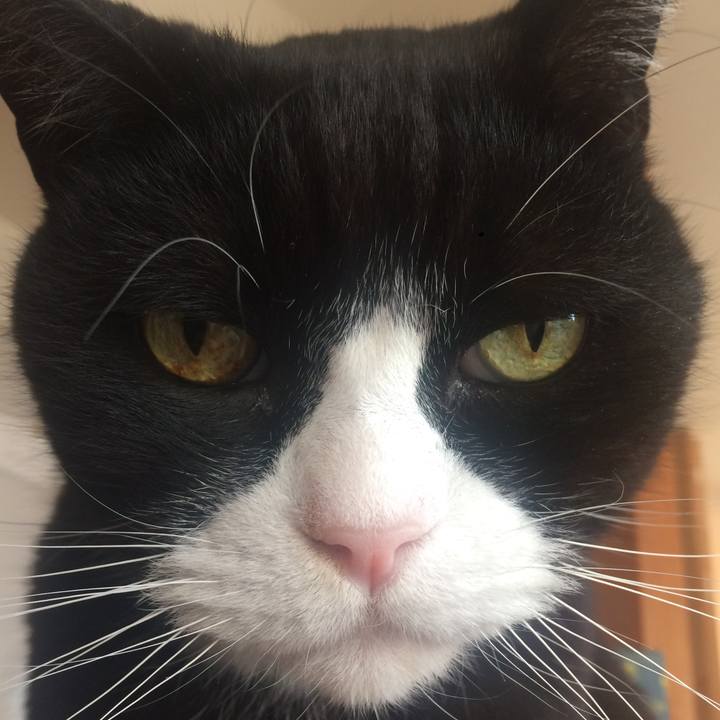 9a1130a3 2686 4057 84b4 0ba932245747