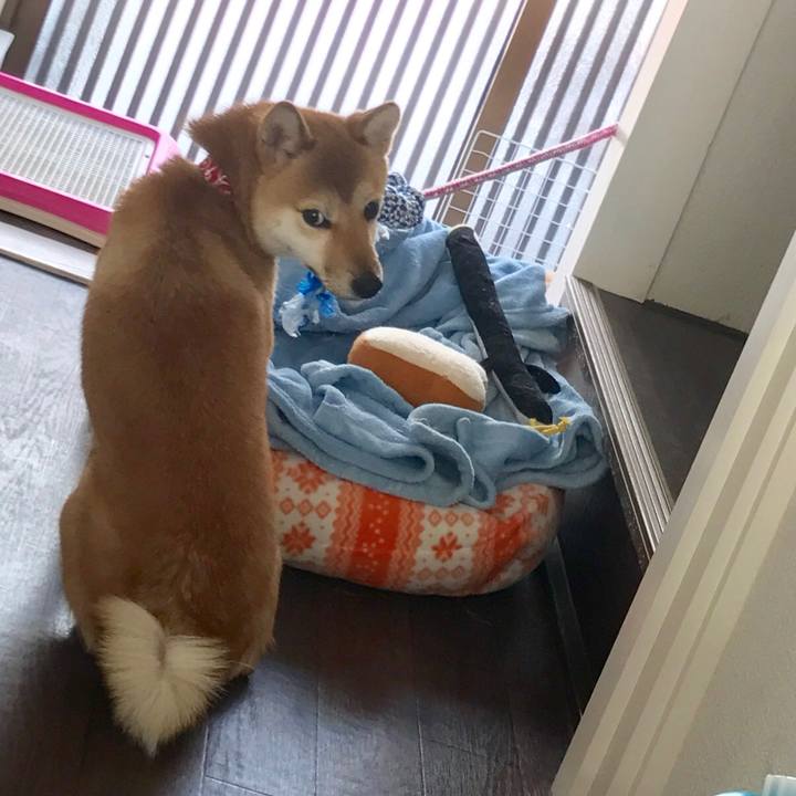 9a11e73f a953 4a7b 84ab 238570b0f4ca