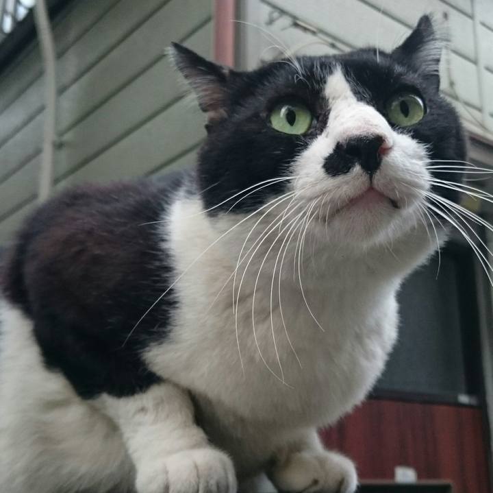 9a120e21 a3c5 47b2 be83 40ec923db7ad