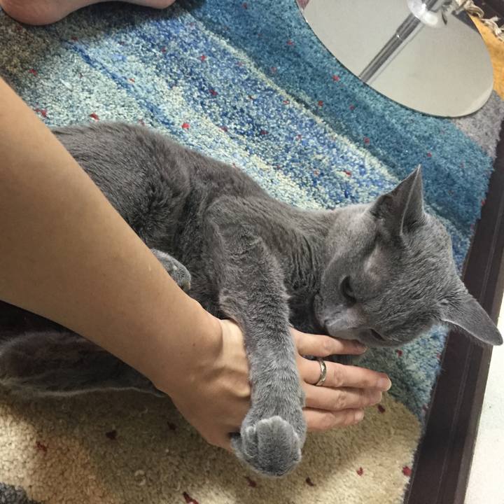 9a143a3c ca0c 4700 8cb1 463c50afc1fc