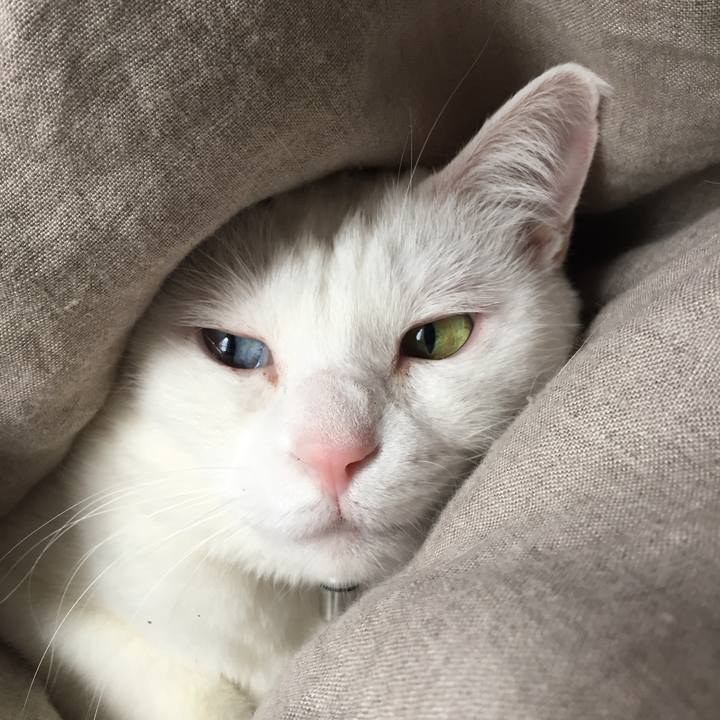 9a145aa6 b370 4af3 9691 c445f8632508