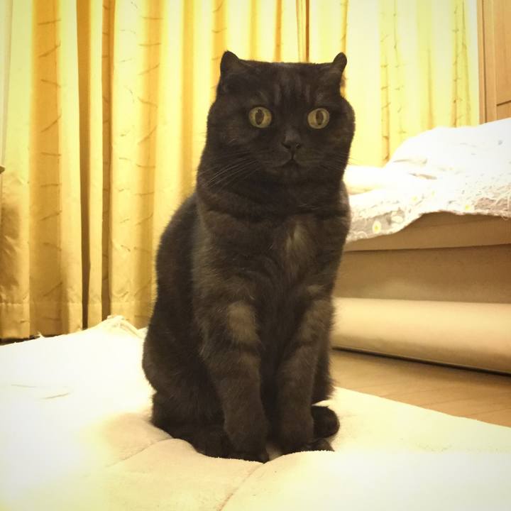 9a14c912 def9 4bc5 99ce 7a3270eee9a9