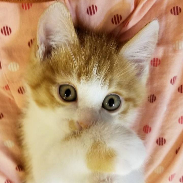 9a15112d 2f01 4b17 bae4 c07be35f3845