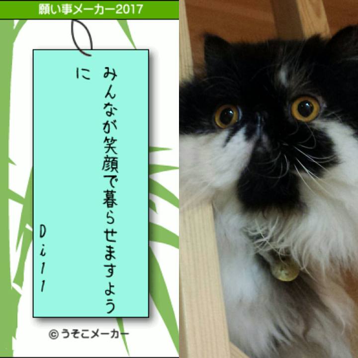 9a153339 31a8 413d 8f4d 99b992e33b93