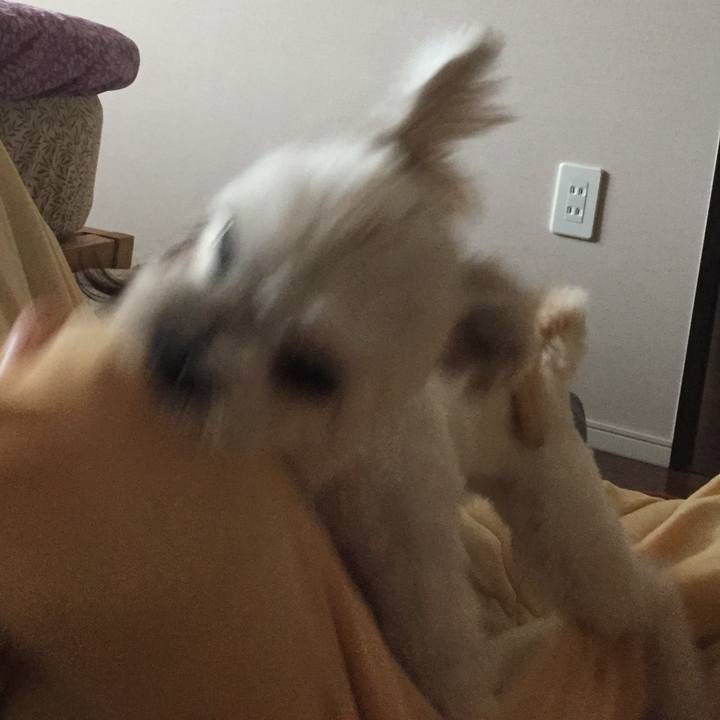 9a1690e2 8bb4 4a52 9c92 c371c99a69c0