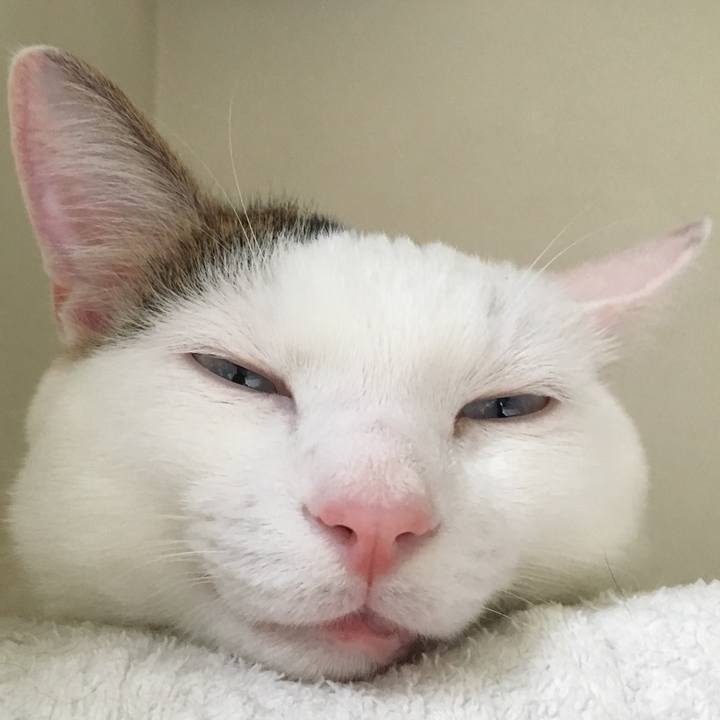 9a171f6c 53ee 4ad4 add7 ceeeb6135907