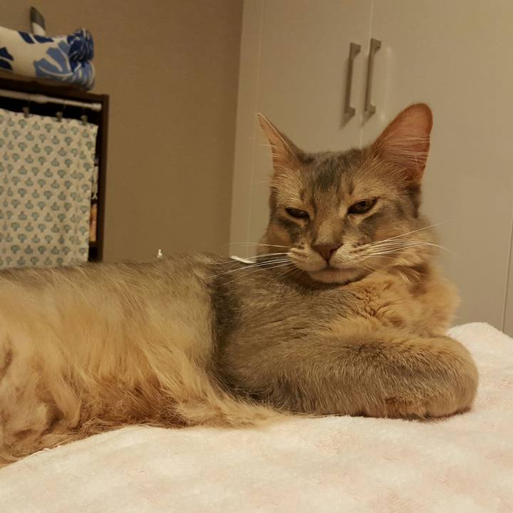 9a17498f b3b8 47a3 a12f 6c5c5bd65164