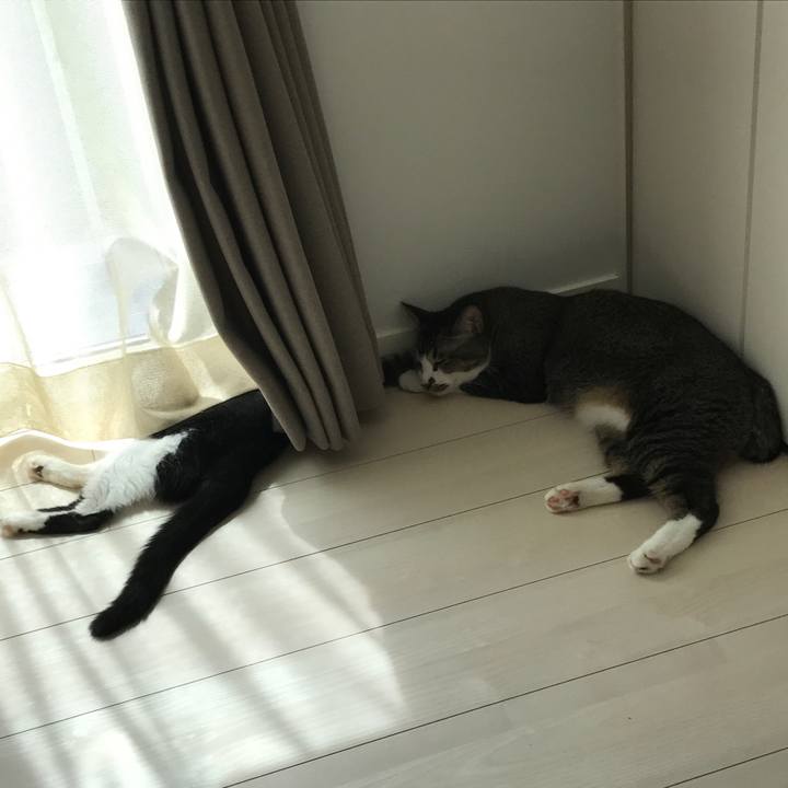 9a17a0f3 9417 4f1c 88cc 3fc3290beda7