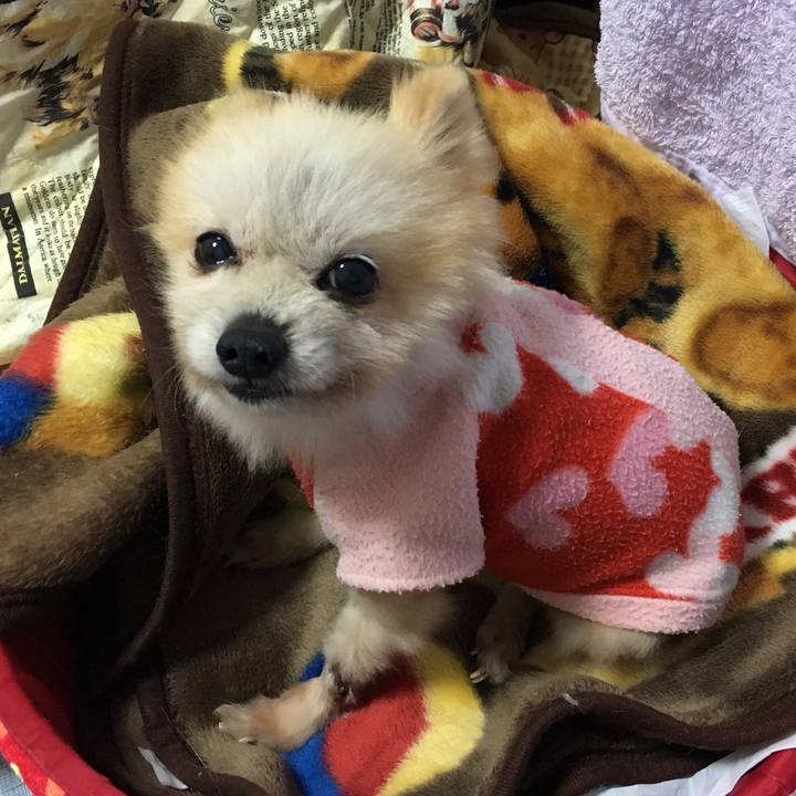 9a1806bd 12e7 49ba 8dba ea9ccd77b126