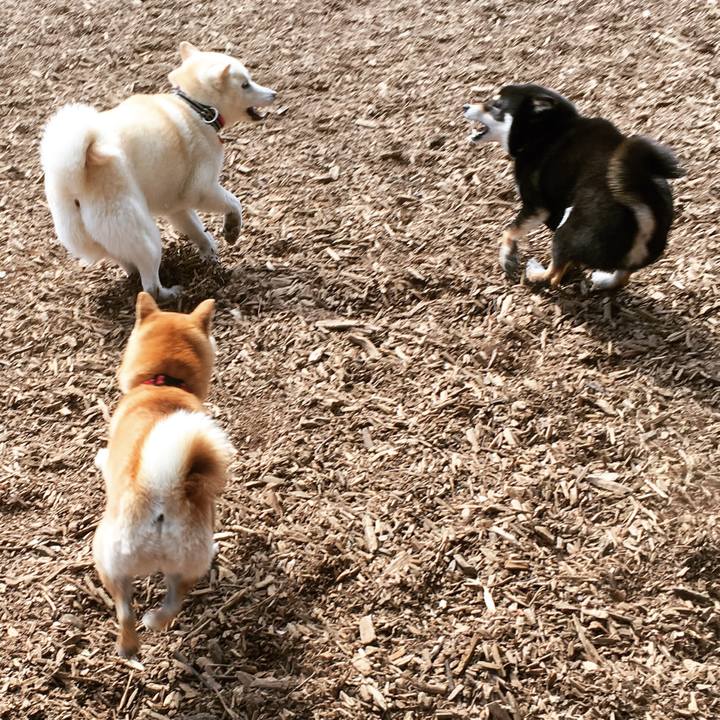 9a18a5cb 1f6d 4e7c b094 7efa1d61af4b