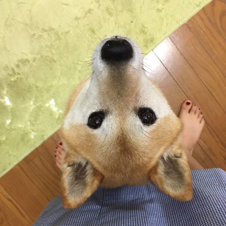 9a18c547 8a06 4db0 a33a 1a174fe3445a