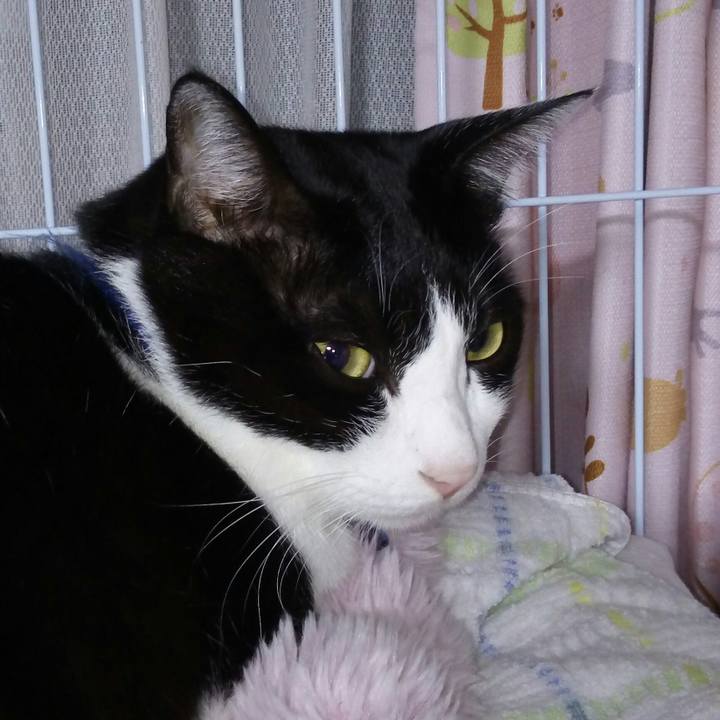 9a191705 2b2b 4f3c a557 746fcf198d06