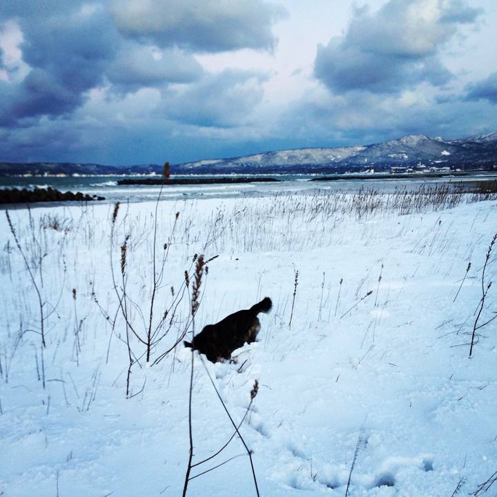 9a19214d 3c8c 40da 83e9 e48b71557bf0