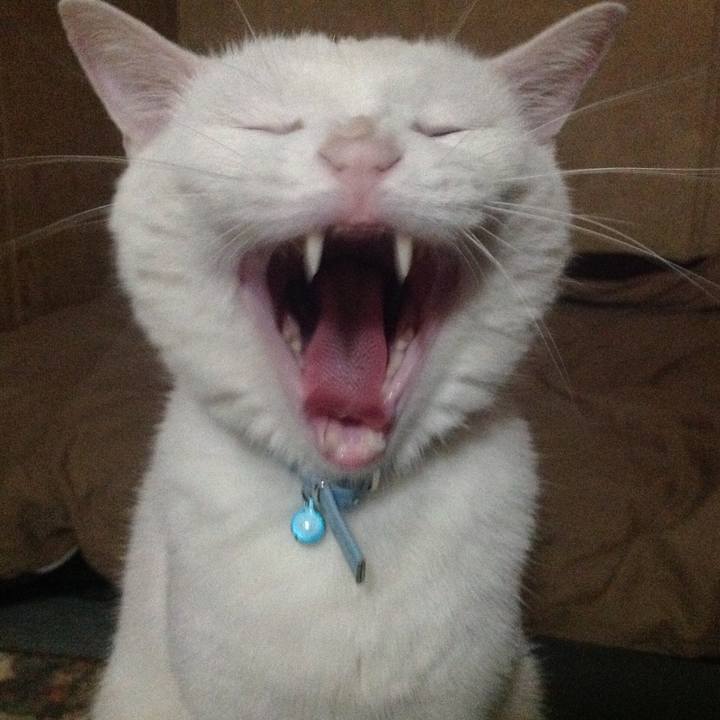 9a19c1e3 dbe1 4c41 8e2f f0860ab5019b