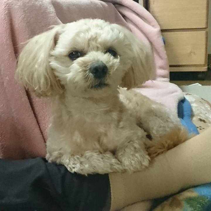 9a19cddc 5ac0 4947 864d 03f21deb19d3