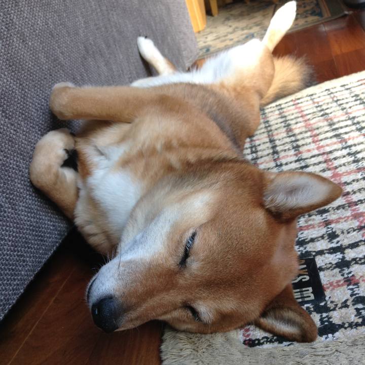 9a1a8640 2bc7 4d7b aa9e ff769bcbf181