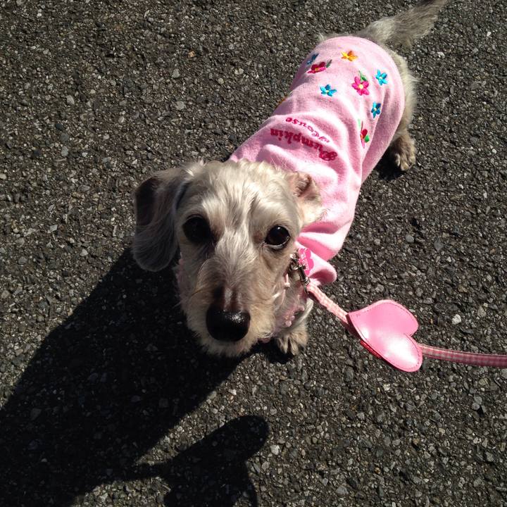 9a1abf8e be7e 4169 99d3 ba5b24e25fba