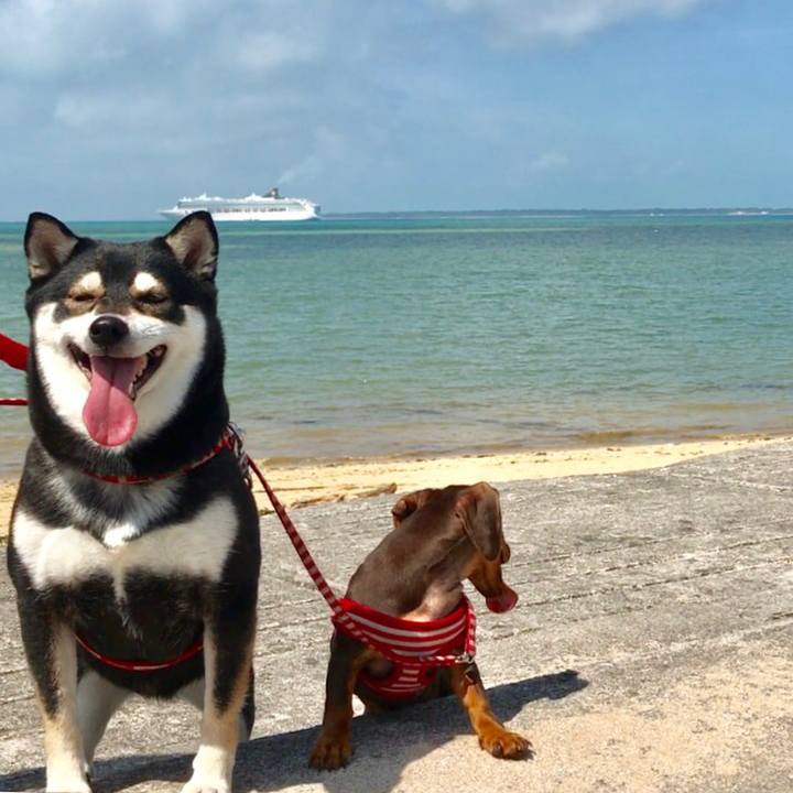 9a1bd71b c899 4cf9 a76b 30f588c0b569