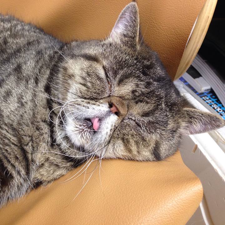 9a1c1101 da49 4cad 9b6f 3d228d09e592