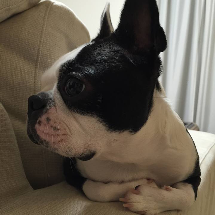 9a1c7a36 fa1c 46f7 b89f 5b1484afd4fe