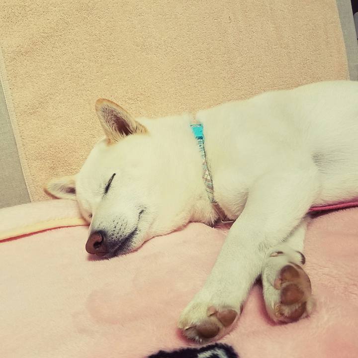 9a1df7a2 2e95 491e bf23 b06a7c34f15e