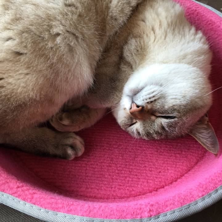 9a1f51ea 04a4 4edd 91ca c67feb875574