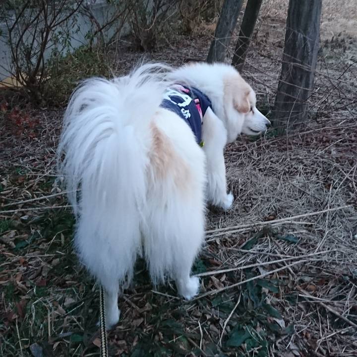 9a1f55fc f50f 4e85 a2cb 6484c896fbbd