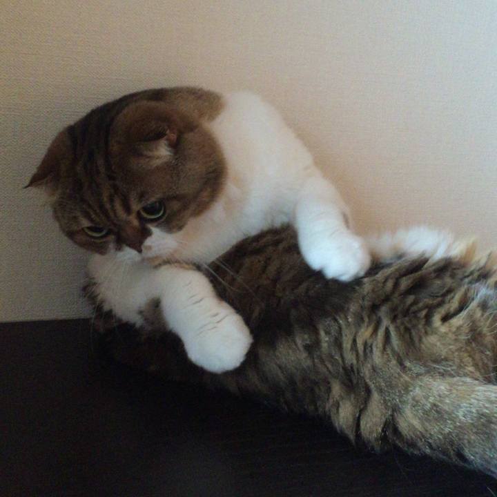 9a1f9519 096b 408e 8989 4d111573eb59