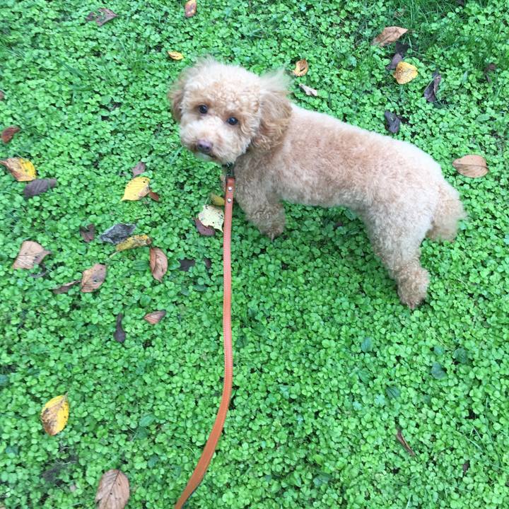 9a202af4 a9a5 448c adbb 476575a5e68b